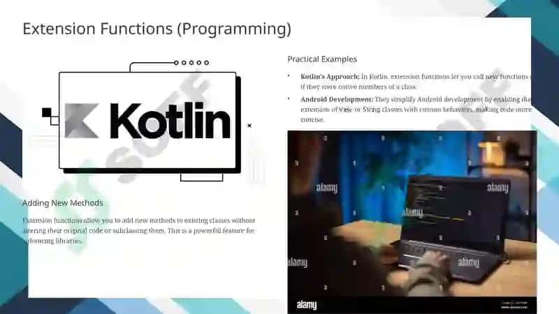 TYPES OF EXTENSIONS. FUNCTIONS OF EXTENSIONS TYPES 3