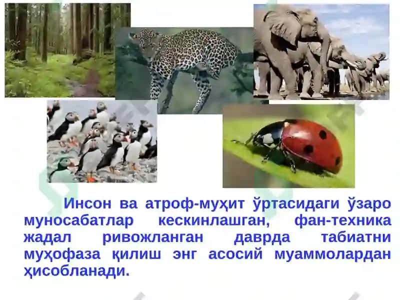 Табиий ресурслар ва ularning turlari 3
