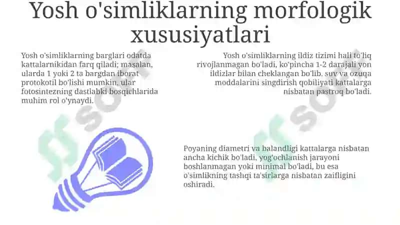 Yosh o'simliklarning morfologik xususiyatlari 3