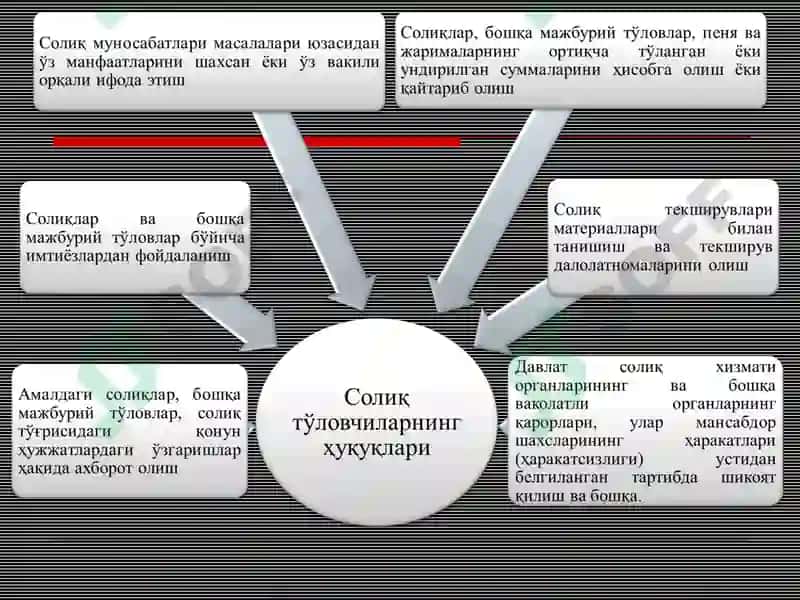Солиқ Муносабатлари 3