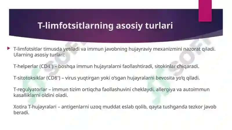 Immun o‘ziga xosligi. T-limfotsitlar va Markaziy Nerv tizimi (MNS) 3