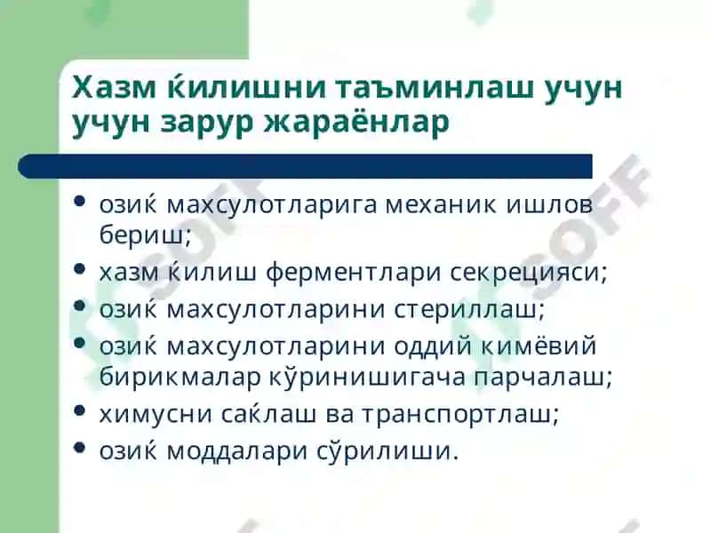 Хазм ќилиш тизими 3