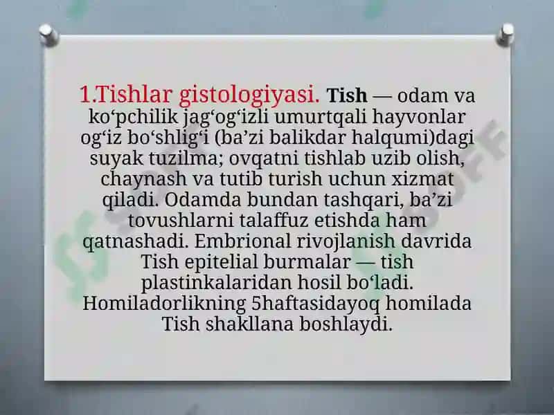 Tishlaranatomiyasi va gistologiyasi 3