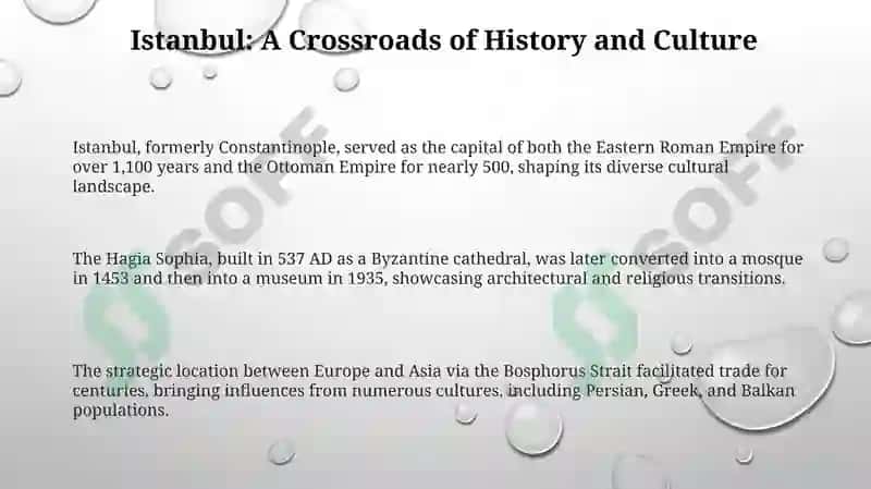 Istanbul: A Tapestry of Time and Culture 3