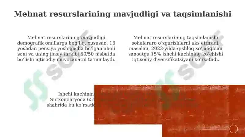 Mintaqaviy aholi tarkibi va dinamikasi 3