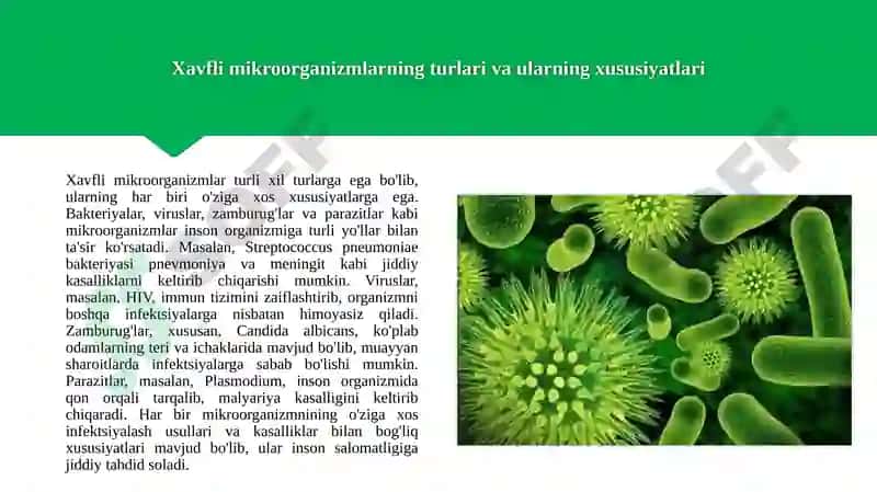 Xavfli mikroorganizmlarning turlari va ularning xususiyatlari 3