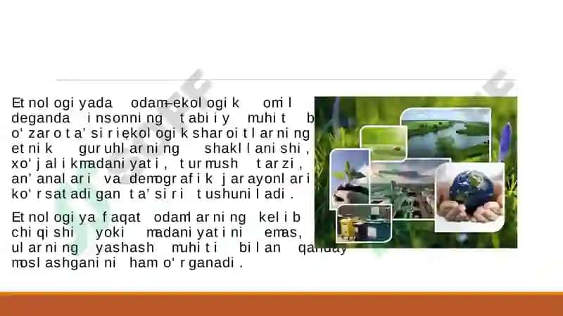 ODAM-EKOLOGIK OMIL 3