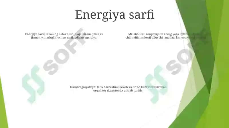 Metabolizm Va Energiyani OʻRganish.Termoregulatsiya.ToʻGʻRi Ovqatlanish Asoslari 3