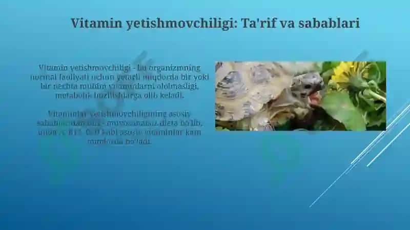 Vitaminlar yetishmovchililgi 3
