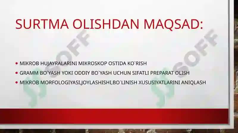 mustaqil ish mikrobiologiya 3