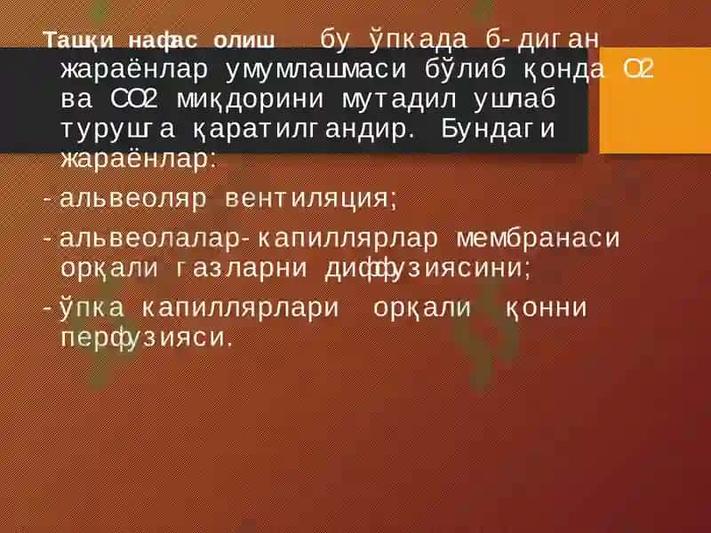 ТАШҚИ НАФАС СИСТЕМАСИНИНГ ПАТОФИЗИОЛОГИЯСИ 3