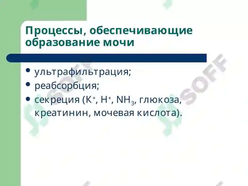 Патофизиология почек 3