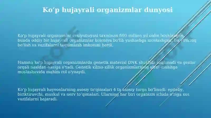 Ko'p hujayralilar olami 3