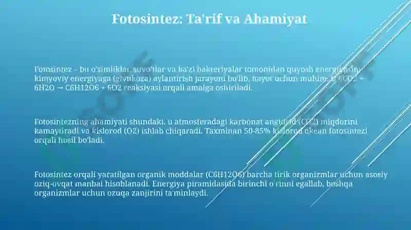 Fotosintez 3