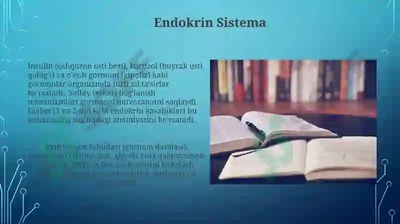 Endokrin Sistema 3