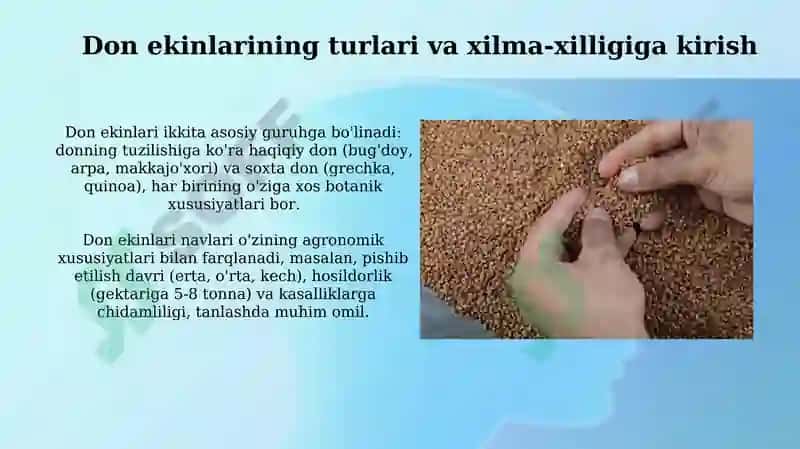 Don ekinlarining turlari va navlari 3
