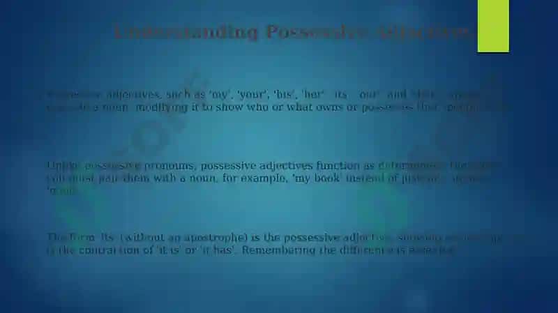 Possessive adjectives and pronouns 3