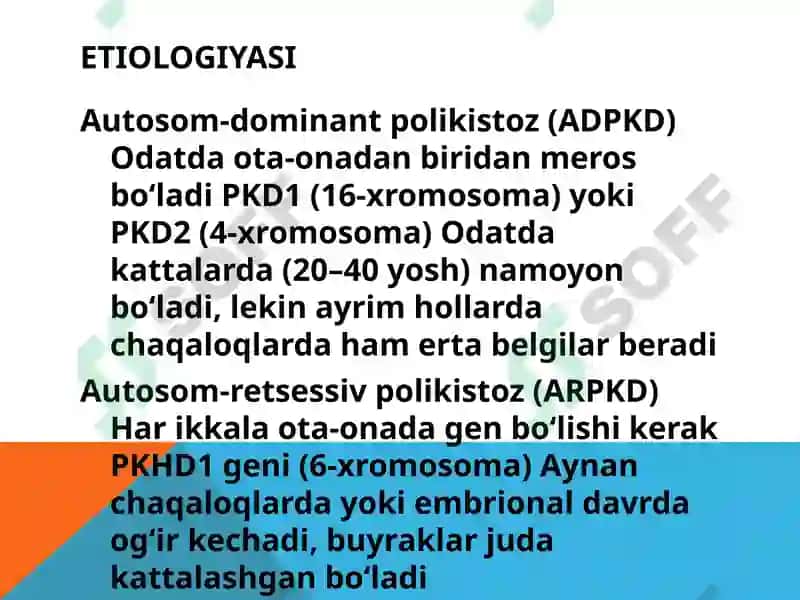 Buyrak polikistozi 3