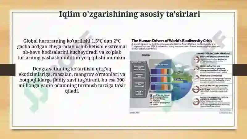 The effects of climate change on biodiversity 3