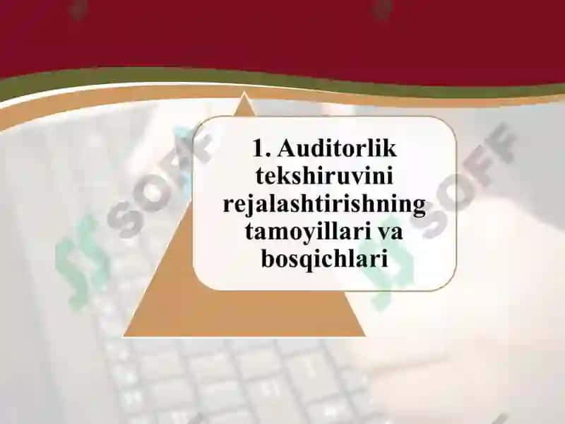 Auditorlik tekshiruvini rejalashtirish 3