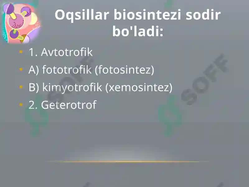 Oqsillar biosintezi 3