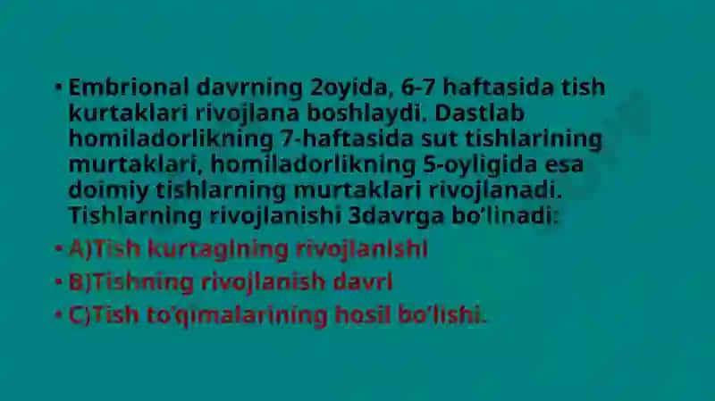 Tishlarning anatomik tuzilishi 3