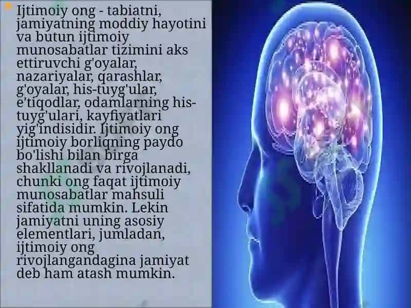 Ijtimoiy va individual ong haqida tushuncha 3