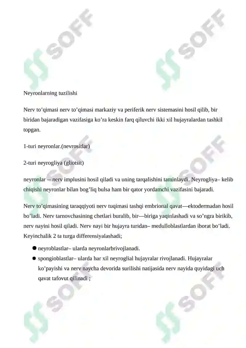 Neyron va uning tuzilish funksiyasi 3
