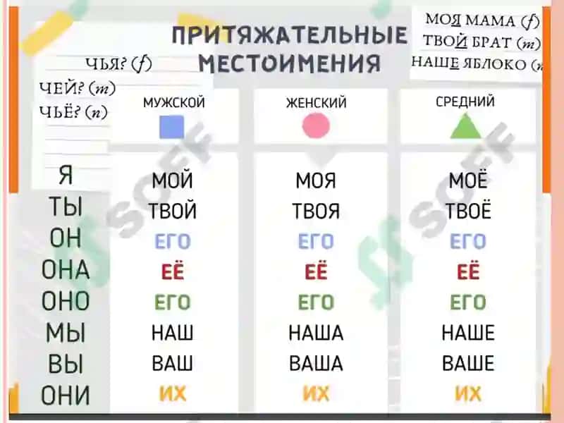 МОЯ СЕМЬЯ.Притяжательные местоимения 3