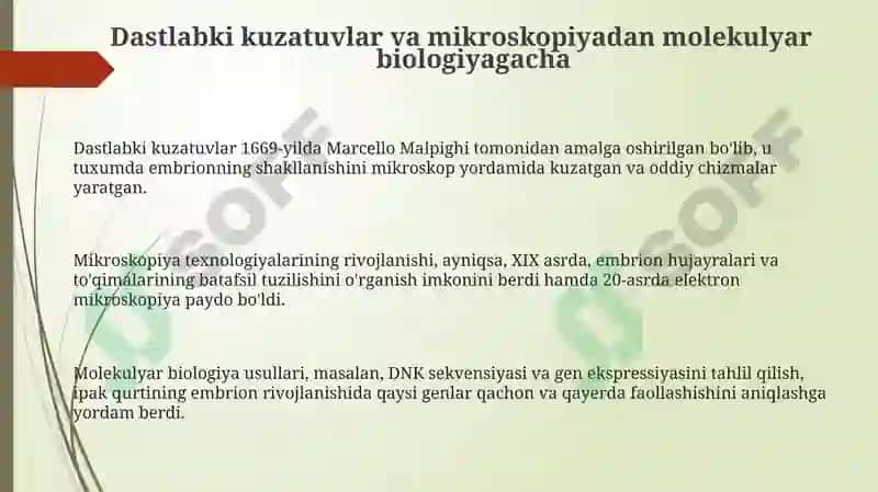 Ipak qurti embriologiyasi 3