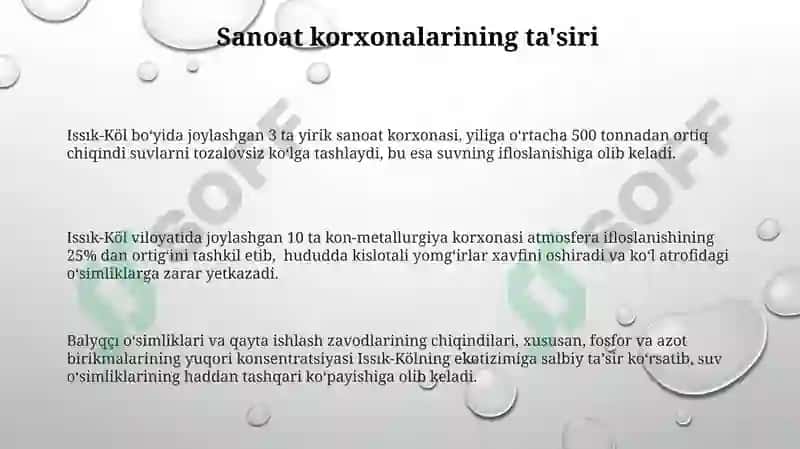 Issiqkoʻl muammosi 3