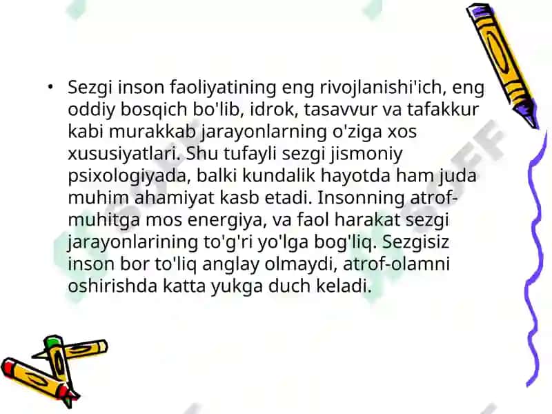 Sezgi 3