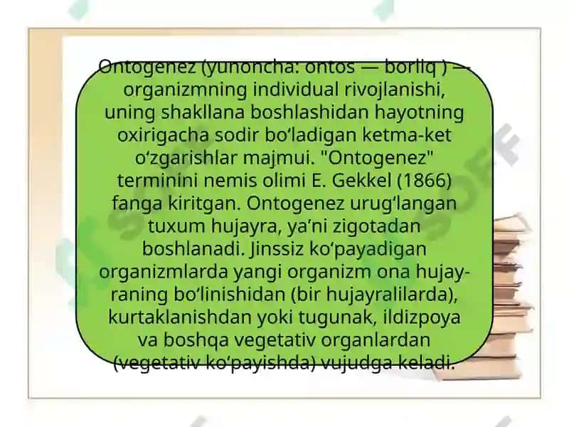 Ontogenezning ilk bosqichlari 3