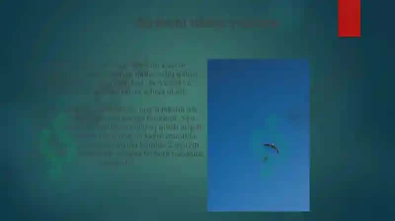 Birinchi tibbiy yordam 3