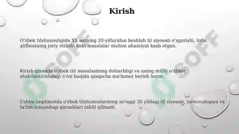 Oʻzbek etnosining tili masalasida tilshunoslarining qarashlari 3