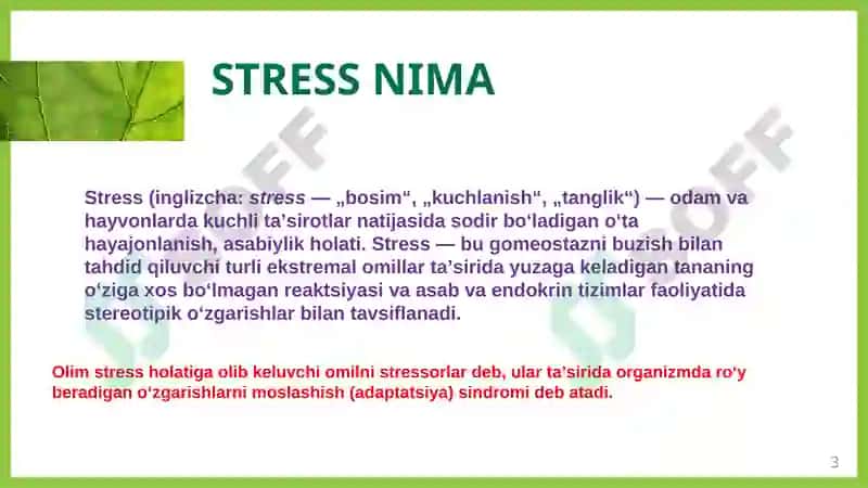Stressnibartaraf etuvchiterninglar 3