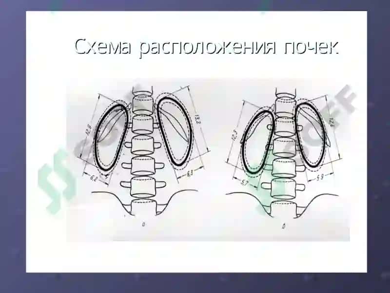 Нур диагностикаси 3