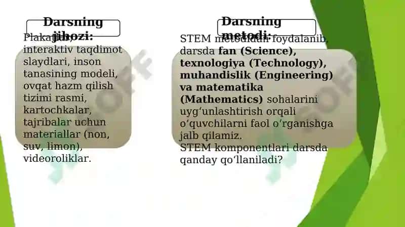 Ovqat hazm qilish organlari 3
