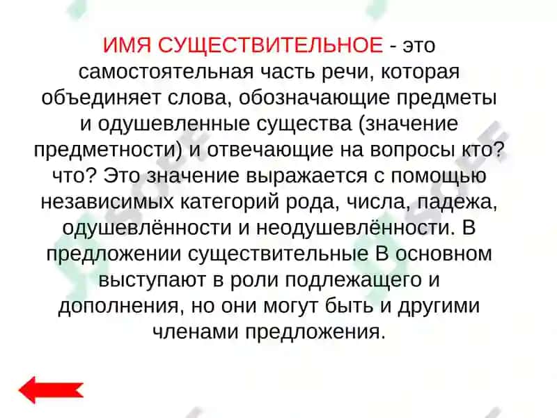 Имя существительное 3