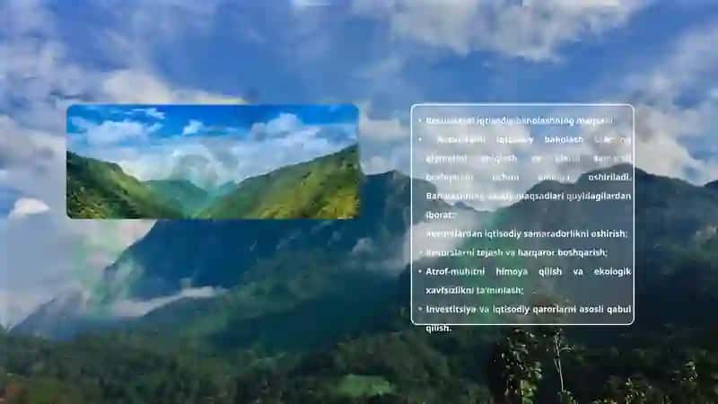 Resurslarni iqtisodiy baholash tamoyillari 3