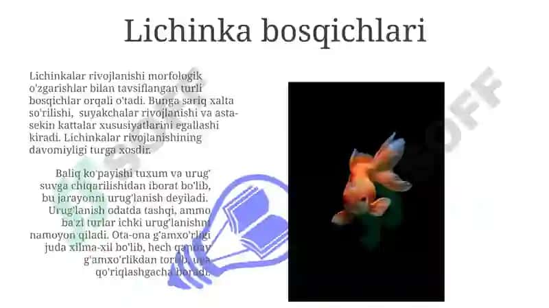 Baliqlarning ko‘payishi va rivojlanishi 3