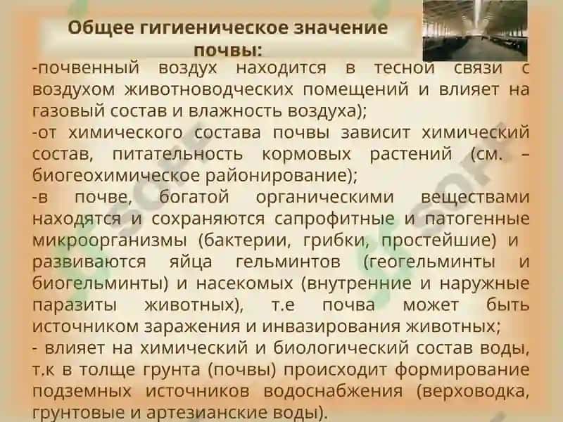 Гигиена почвы 3