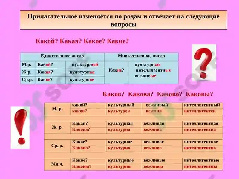 Лексическая тема 3