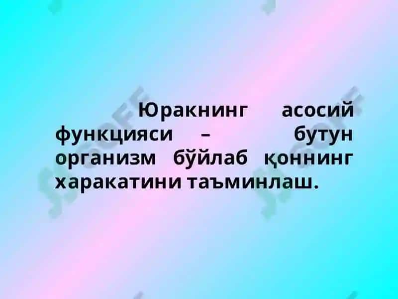 Амалий машгулот №2 3