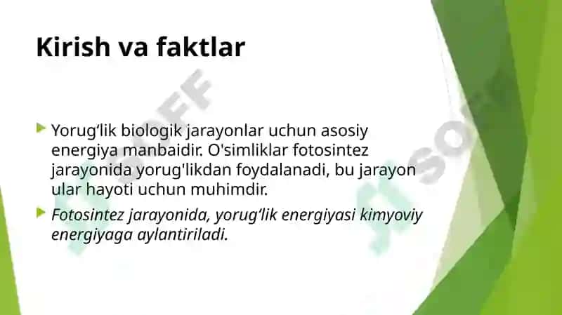Yorugʻlikning oʻsimliklar hayotidagi ahamiyati 3