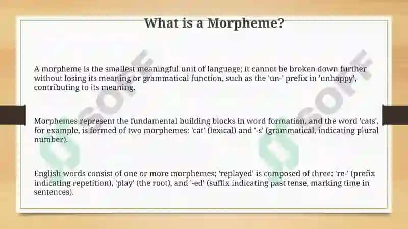 Types of morphemes 3