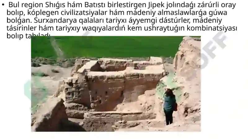 Surxandárya qalası urbanizaciyası 3