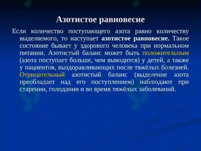 Обмен белков и аминокислот 3