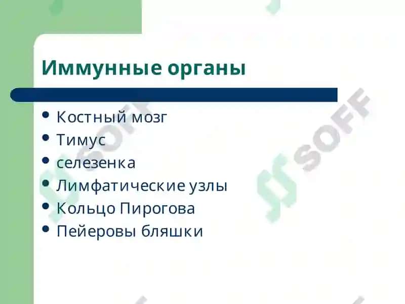 Лекция6 Патофизиология 3
