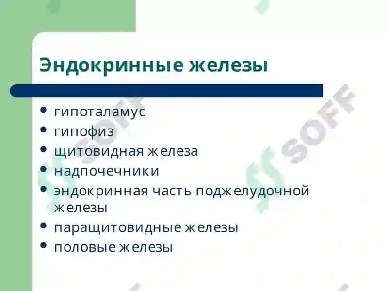 Патофизиология эндокринной системы 3